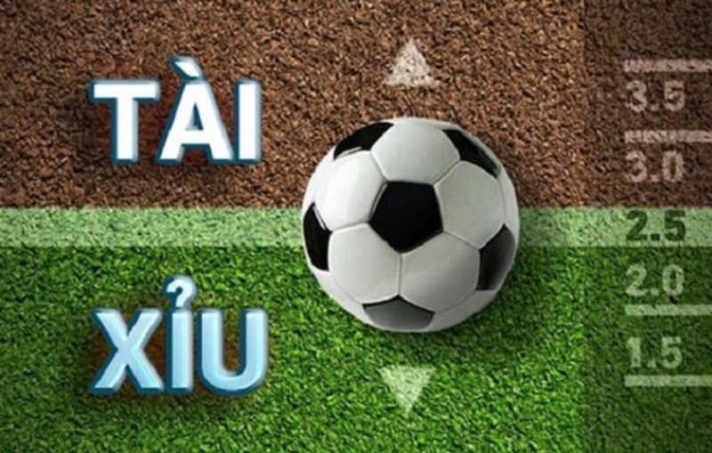 c&aacute;c thuật ngữ trong c&aacute; độ b&oacute;ng đ&aacute;