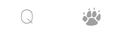 Qtech
