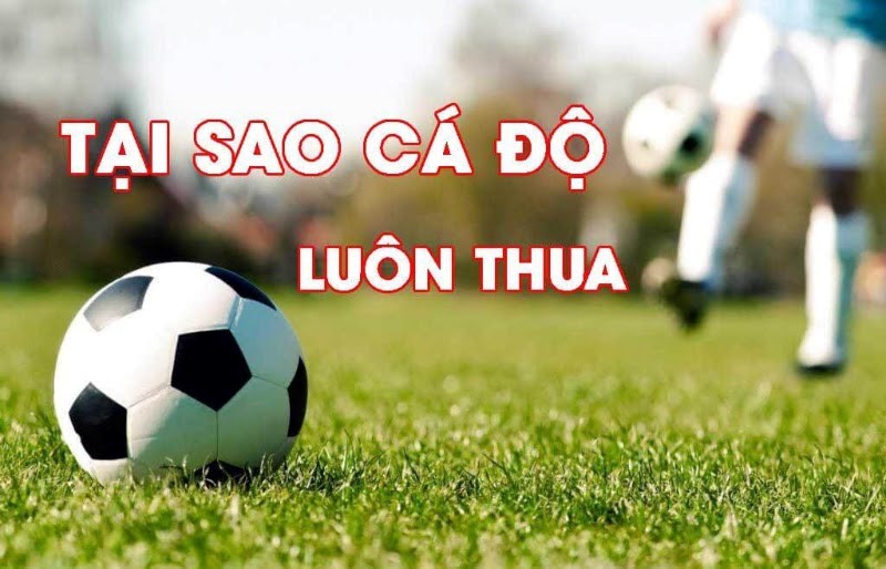 tại sao c&aacute; độ b&oacute;ng đ&aacute; lu&ocirc;n thua